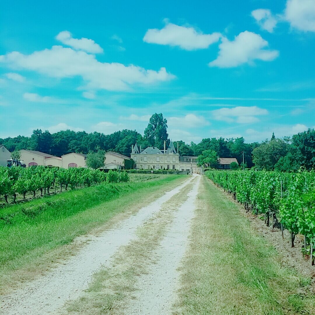 Chateau Meyre Avensan Exteriér fotografie